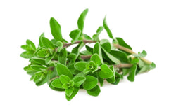 Bay Leaves