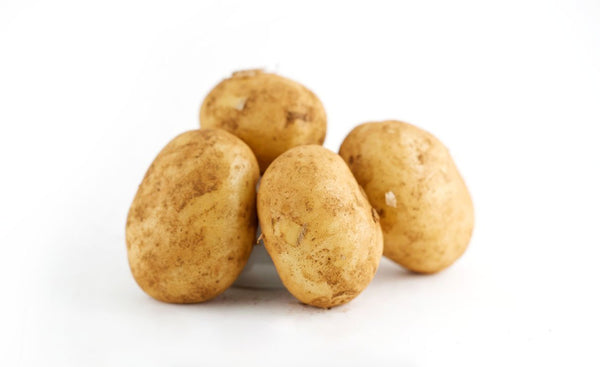 Sebago Potatoes