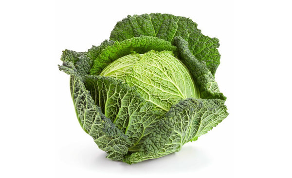 Savoy Cabbage - Wholesome Kitchen