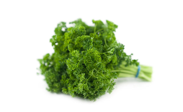 Curley Parsley