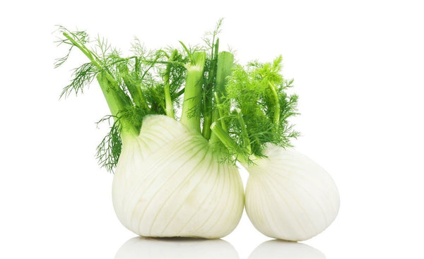 Fennel - Wholesome Kitchen