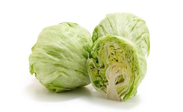 Iceberg Lettuce