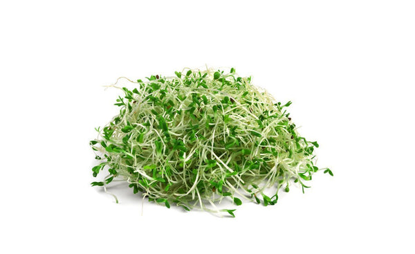 Alfalfa Sprout & Onion - Wholesome Kitchen