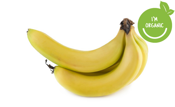 Organic Bananas