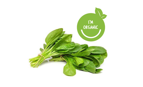 Organic Baby Spinach